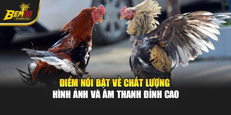 Điểm nổi bật về chất lượng hình ảnh và âm thanh đỉnh cao